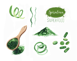 Hand drawn spirulina seaweed powder. Isolated Spirulina algae, pills, capsules and powder drawing on white background. Superfood artistic style illustration. Organic healthy food sketch © anastasianio