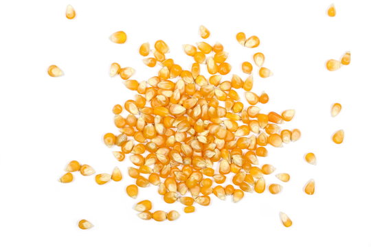 Yellow grain corn isolated on white background and texture, for popcorn, top view