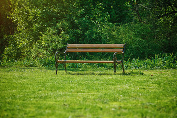 Bench in the Park