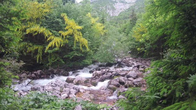 Water flow, river flowing between the rocks in a forest in the Alps mountains, Europe