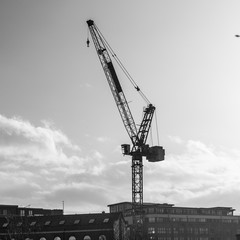 Crane in Black and White