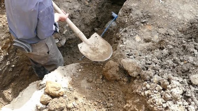 workers working with shovels and digging, 4k video,
