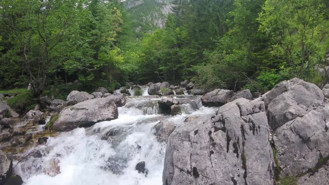 Water flow, river flowing between the rocks in a forest in the Alps mountains, Europe
