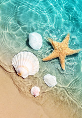Obrazy na Szkle  rozgwiazdy i muszla na plaży latem w wodzie morskiej.