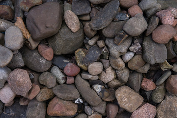 different in color and form of stones