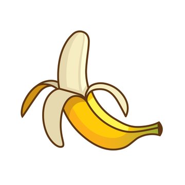 Banana illustration isolated on white background.