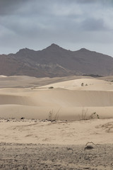 Obraz na płótnie Canvas Desert and moutain