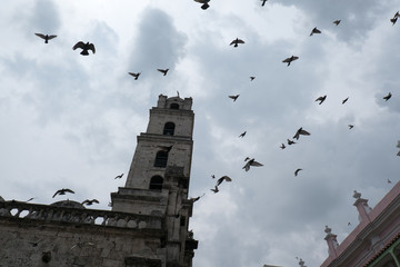 Looking up at church  as a large flock of pigeons fly around the plaza of Convento de San Francisco de Asís (Convent of San Francisco of Asis) in the Plaza of San Francisco in Old Town Havana, Cuba.