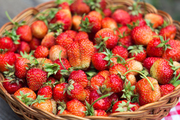 a lot of strawberries in the basket close-up