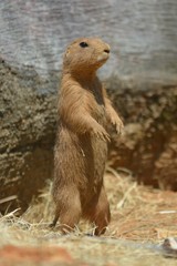 I can see way over there.