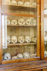 Human skulls in the closet behind the glass. Equipment in a medical college.