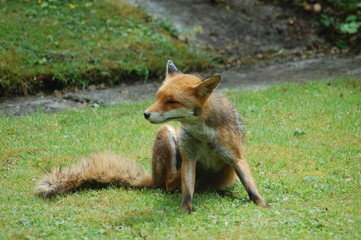 The Middle of a Scratch