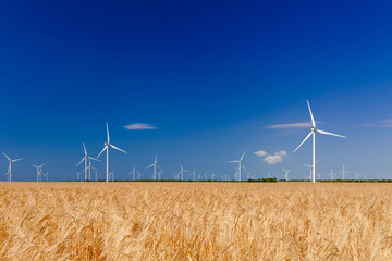 Wind turbines generating electricity on field. Eco power, ecology and alternate power concept.