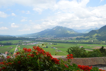 Geraniums with backdrop of Swiss Countryside