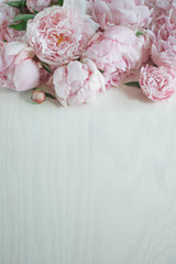 Flat lay concept with beautiful peonies on white wood, can be used as background