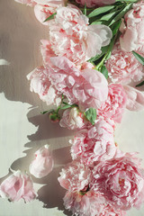 Flat lay concept with beautiful peonies on white wood, can be used as background