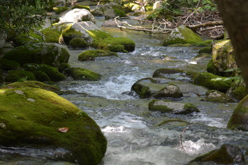 White running water