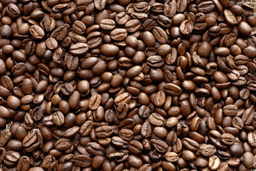 コーヒー豆