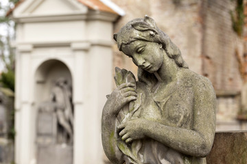 Fototapeta na wymiar The Tombstone on the old Prague Cemetery Olsany, Czech Republic
