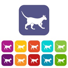 Cat icons set vector illustration in flat style In colors red, blue, green and other