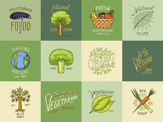 Healthy Organic food logos set or labels and elements for Vegetarian and Farm green natural vegetables products, vector illustration. badges healthy life. engraved hand drawn in old sketch.