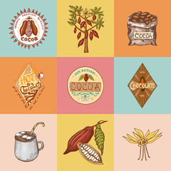 Cocoa beans and hot chocolate logos. modern vintage badges for the shop menu. Seeds of fruit on the plantation. calligraphy style for frames, labels. farm products. engraved hand drawn in old sketch.
