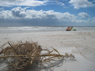 Fototapeta na wymiar Sea Grass With View of Beach Chairs