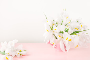 Beautiful White Iris Flowers on Pink Background