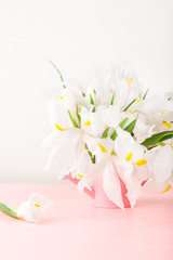 Beautiful White Iris Flowers on Pink Background