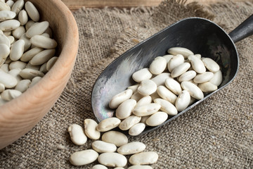 Dried white bean.