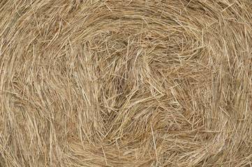 Close-up of bales of rolled hay.