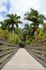 Fototapeta na wymiar Bridge to Palm Trees