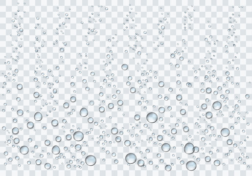 Realistic water droplets on the transparent background. Vector illustration