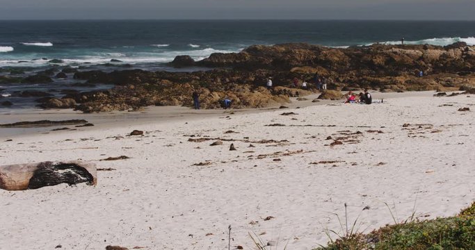 Coastal Pacific Ocean Beach in California with People in Distance