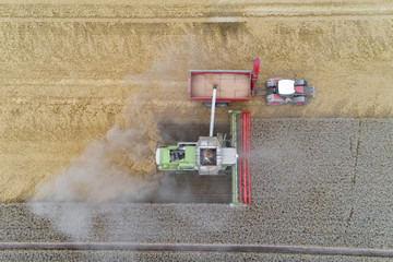 Harvester working on the field and filling the truck