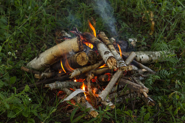 bonfire on nature green summer environment