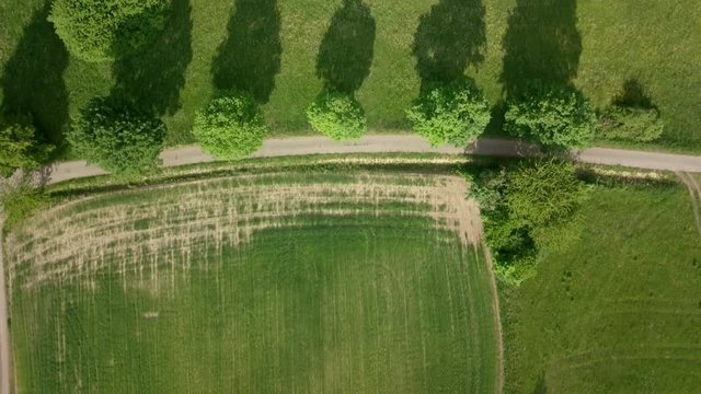 Flug &uuml;ber Weg, Felder und Baumallee im Fr&uuml;hling.