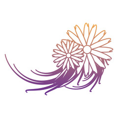 beautiful flowers icon over white background, colorful design. vector illustration