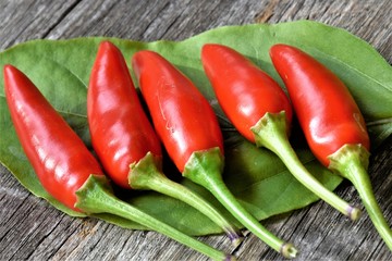 Hot birds eye chillies