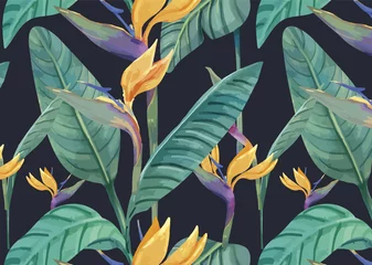 Keuken foto achterwand Tropische bloemen Handgetekend paradijsvogelpatroon