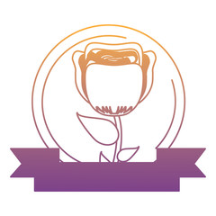 emblem of decorative ribbon and flower icon over white background, vector illustration