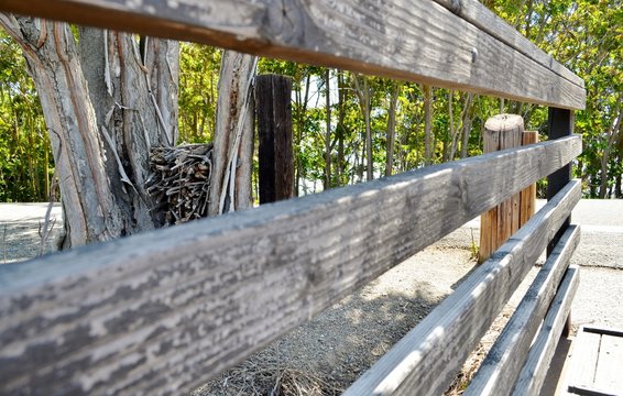 Wooden Bridge In San Joaquin County, California