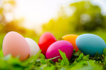 Easter eggs on green grass. Spring holidays concept