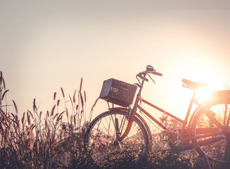 schönes Landschaftsbild mit Fahrrad bei Sonnenuntergang auf Glasfeldwiese  Sommer- oder Frühlingssaisonhintergrund
