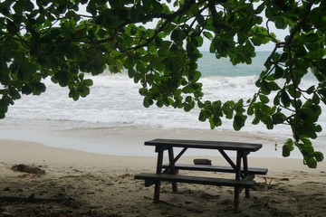 Fototapeta na wymiar Wooden picnic branch on the sand beach placed in shade under huge branches of tropical tree
