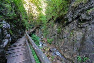 Dr. Vogelgesang Klamm