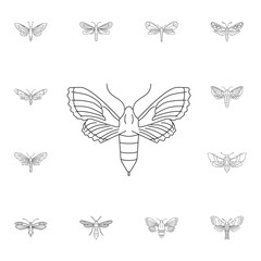 Butterfly icon. Simple element illustration. Butterfly symbol design from Insect collection set. Can be used for web and mobile