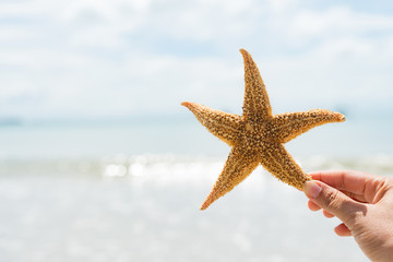 Fototapeta na wymiar woman hand holding starfish over sea and Sandy beach in background for summer holiday and vacation concept.