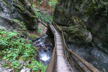 Dr. Vogelgesang Klamm