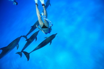 イルカと泳ぐ人